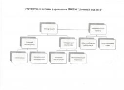 Структура и органы управления МБДОУ "Детский сад № 8"